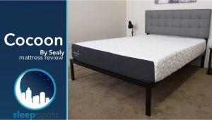 Cocoon by Sealy Reviews Sealy Cocoon Mattress Review Youtube
