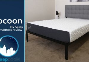 Cocoon by Sealy Reviews Sealy Cocoon Mattress Review Youtube