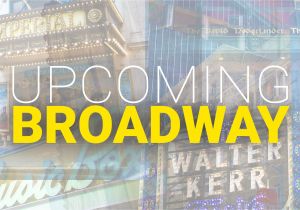 College Of Marin Catalog Schedule Of Upcoming and Announced Broadway Shows Playbill