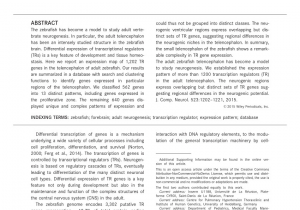 College Of Marin Library Catalog Pdf A Phylotypic Stage In Vertebrate Brain Development Gaba Cell