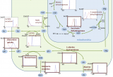 College Of Marin Map Ivc Methionine Leaders In Pharmaceutical Business Intelligence Lpbi