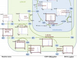 College Of Marin Map Ivc Methionine Leaders In Pharmaceutical Business Intelligence Lpbi