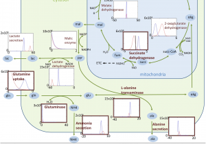 College Of Marin Map Ivc Methionine Leaders In Pharmaceutical Business Intelligence Lpbi