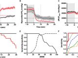 College Of Marin Map Ivc Responsive Monitoring Of Mitochondrial Redox States In Heart Muscle