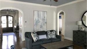 Collingwood Benjamin Moore Undertone Colour Review Benjamin Moore Collingwood Oc 28