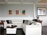 Collingwood Benjamin Moore Undertone the 9 Best Benjamin Moore Paint Colors Grays Including Undertones