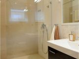 Colores Para Banos Modernos Baa Os Pequea Os Veinticinco Disea O A La Aoltima Bathroom Ideas