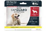 Comfortis for Dogs 20 40 Lbs Amazon Com Sentry Capguard Nitenpyram oral Flea Control