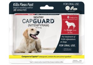 Comfortis for Dogs 20 40 Lbs Amazon Com Sentry Capguard Nitenpyram oral Flea Control