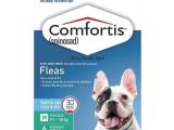 Comfortis for Dogs 20 40 Lbs Comfortis Zielony Dla Psa W 9 1 18kg 20 40lbs I Kota W 5 5 11 2 Kg