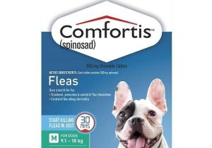Comfortis for Dogs 20 40 Lbs Comfortis Zielony Dla Psa W 9 1 18kg 20 40lbs I Kota W 5 5 11 2 Kg