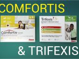 Comfortis for Dogs 20 40 Lbs Trifexis Vs Comfortis for Dogs Comfortis Vs Trifexis Chewable