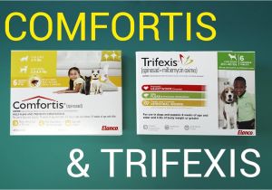 Comfortis for Dogs 20 40 Lbs Trifexis Vs Comfortis for Dogs Comfortis Vs Trifexis Chewable