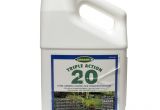 Consan Triple Action 20 Consan Triple Action 20 Fungicide solutions Pest Lawn