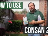 Consan Triple Action 20 How to Use Consan Triple Action 20 Fungicide Youtube