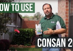 Consan Triple Action 20 How to Use Consan Triple Action 20 Fungicide Youtube