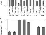 Cookies by Design Mentor Ohio Bright Mutants Of Vibrio Fischeri Es114 Reveal Conditions and