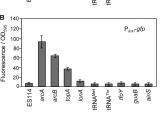 Cookies by Design Mentor Ohio Bright Mutants Of Vibrio Fischeri Es114 Reveal Conditions and