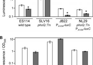 Cookies by Design Mentor Ohio Bright Mutants Of Vibrio Fischeri Es114 Reveal Conditions and