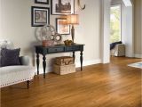 Coretec Plus 5 Gold Coast Acacia Armstrong Luxury Vinyl Plank Flooring Lvp Oak Gunstock Wood Look