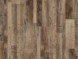 Coretec Plus Carolina Pine 10 Carolina Pine Vinyl Plank Flooring You Ll Love Best Flooring Ideas