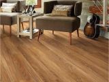 Coretec Plus Carolina Pine 10 Carolina Pine Vinyl Plank Flooring You Ll Love Best Flooring Ideas