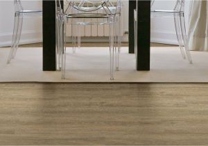 Coretec Plus Carolina Pine 10 Carolina Pine Vinyl Plank Flooring You Ll Love Best Flooring Ideas