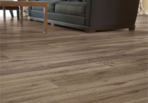 Coretec Plus Carolina Pine Nares Oak Coretec Plus Enhanced Planks In 2019 Pinterest