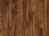 Coretec Plus Gold Coast Acacia Reviews Us Floors Coretec Plus 5 Plank 50lvp201 Gold Coast Acacia