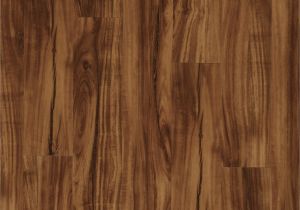 Coretec Plus Gold Coast Acacia Reviews Us Floors Coretec Plus 5 Plank 50lvp201 Gold Coast Acacia