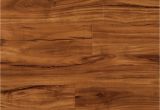 Coretec Plus Plank Gold Coast Acacia Us Floors Coretec Plus Plank Gold Coast Acacia 5