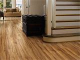 Coretec Sherwood Rustic Pine Classico Plank Frutta Room View for the Home Pinterest