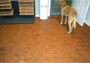 Cork Flooring Good for Dogs Best Flooring for Dogs Quiet Corner