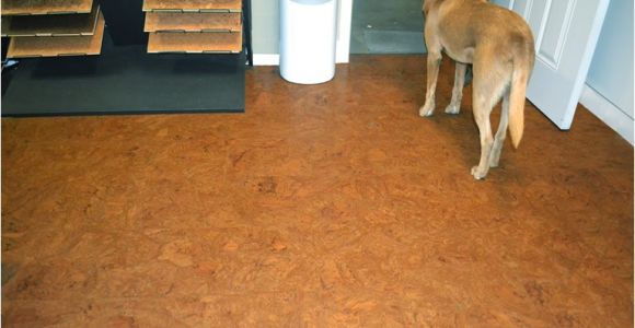 Cork Flooring Good for Dogs Best Flooring for Dogs Quiet Corner