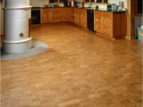 Cork Flooring Good for Dogs the Pros and Cons Of Cork Flooring that You Should Know