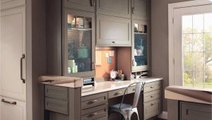 Corner Kitchen Cabinet Ideas New Kitchen Corner Cabinet