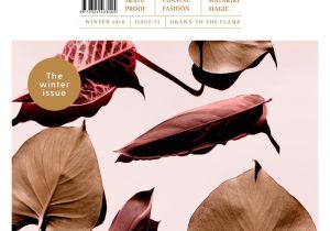 Cotton On Gift Card Balance Nz Capital 52 by Nz Reads issuu