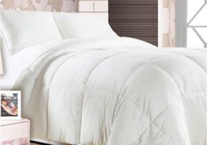 Cotton Vs Polyester Fill Comforter Story Home Double Polyester Plain White Comforter Coordinated Buy