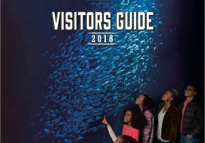 Coupons for Kansas City Aquarium 2018 Official Springfield Missouri area Visitors Guide by
