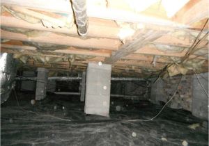 Crawl Space Encapsulation Charleston Sc Cantey Foundation Specialists Foundation Services Photo