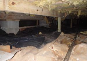 Crawl Space Encapsulation Charleston Sc Crawl Space Repair Savannah Macon Warner Robins