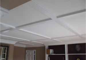 Creative Drop Ceiling Ideas Basement Drop Ceiling Ideas Color Basement Drop Ceiling