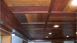 Creative Drop Ceiling Ideas Creative Drop Ceiling Ideas Google Search for the Farm