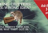 Critter Gitter Pest Control Lewis Pest Control Critter Gitter Serving Alabama