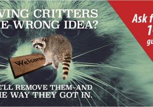 Critter Gitter Pest Control Lewis Pest Control Critter Gitter Serving Alabama