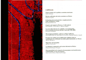 Cuanto Mide Un Colchon Queen En Mexico Pdf La Dinamica Comparativa Del Sector Informal En Mexico