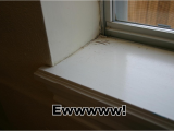 Cultured Marble Window Sills Window Sills Beckwith 39 S Treasures