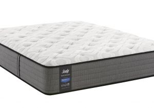 Cushion Firm Vs Firm Mattress Sealy Glenbrook Cushion Firm Rmattress