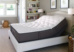 Cushion Firm Vs Firm Mattress Shop Sealy Response Performance 12 5 Inch Cushion Firm California