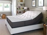 Cushion Firm Vs Memory Foam Shop Sealy Response Performance 12 5 Inch Cushion Firm California